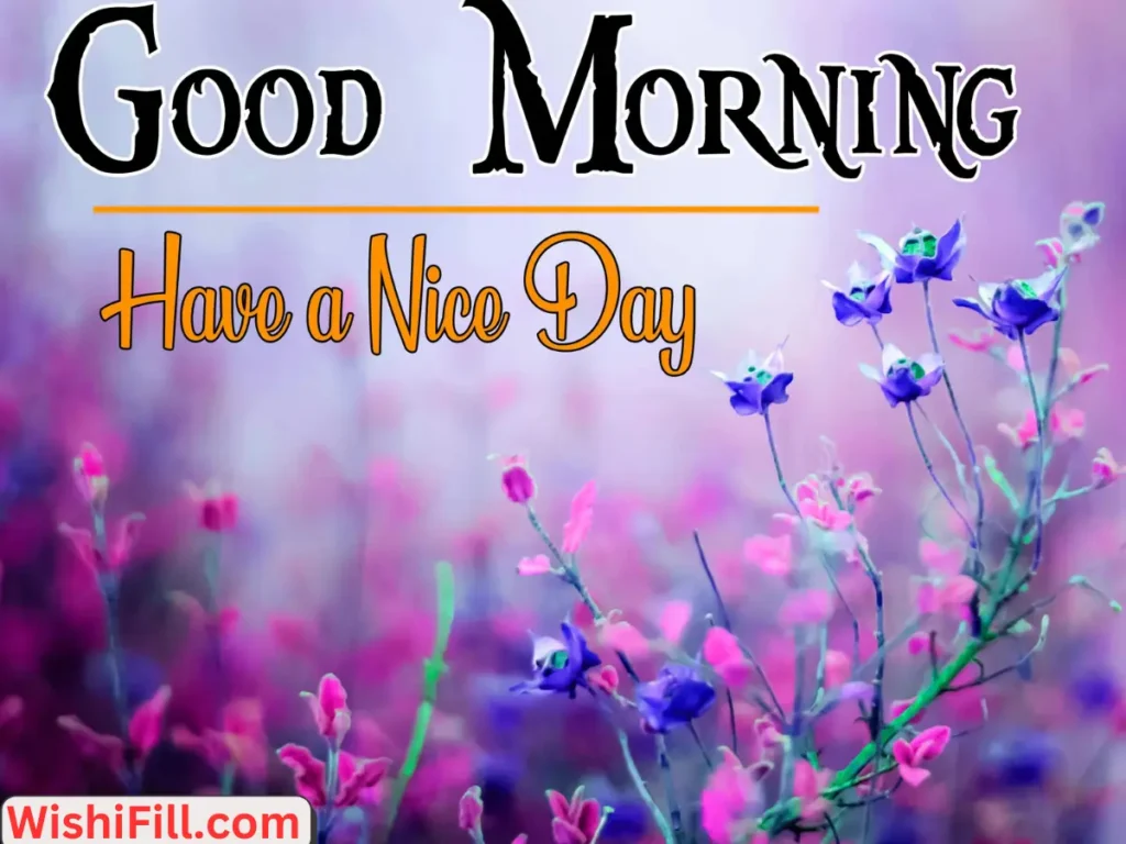 Best Wishes for a Good Day
